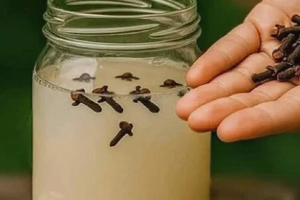 Un barattolo di vetro con un infuso di chiodi di garofano e, accanto, una mano che tiene chiodi di garofano interi