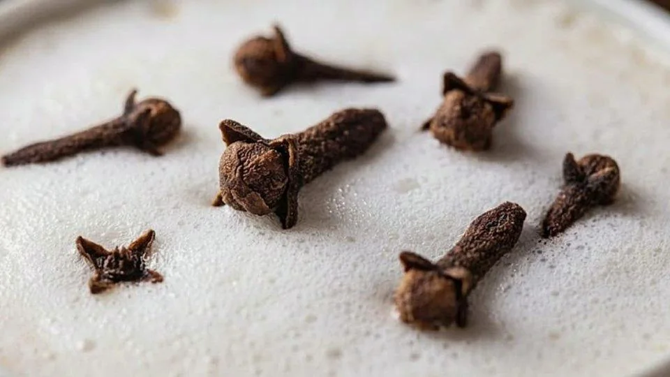 Chiodi di garofano appoggiati sulla schiuma di un infuso appena versato